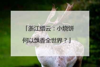 浙江缙云：小烧饼何以飘香全世界？